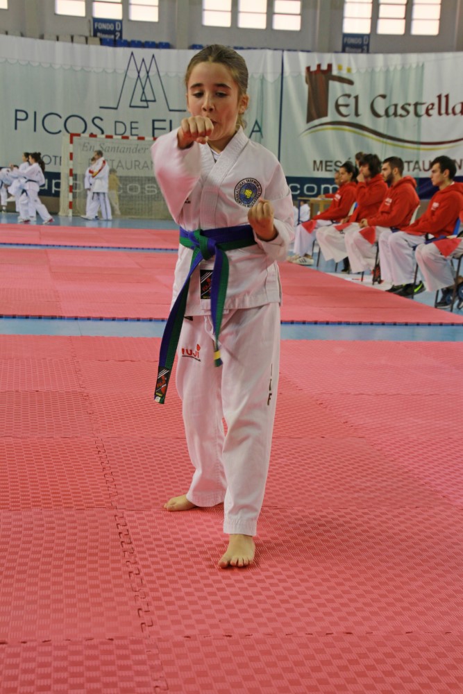 Taekwondo Dic 2016 (175).jpg